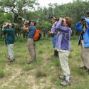 GGAS member post on “A South Texas Adventure” 2015 Nature Trip